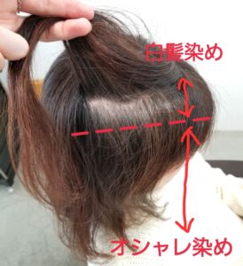 白髪を明るくオシャレに染める3つの方法を美容師が徹底解説 原宿 表参道美容師 田中亜彌のブログ