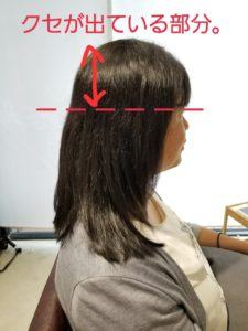 縮毛矯正をやめたい 縮毛矯正部分が残る場合の髪型の選択肢の一つ 原宿 表参道美容師 田中亜彌のブログ
