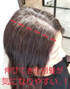 アラフォー女性必見 伸びてきた白髪が目立たない髪型をご紹介 原宿 表参道美容師 田中亜彌のブログ